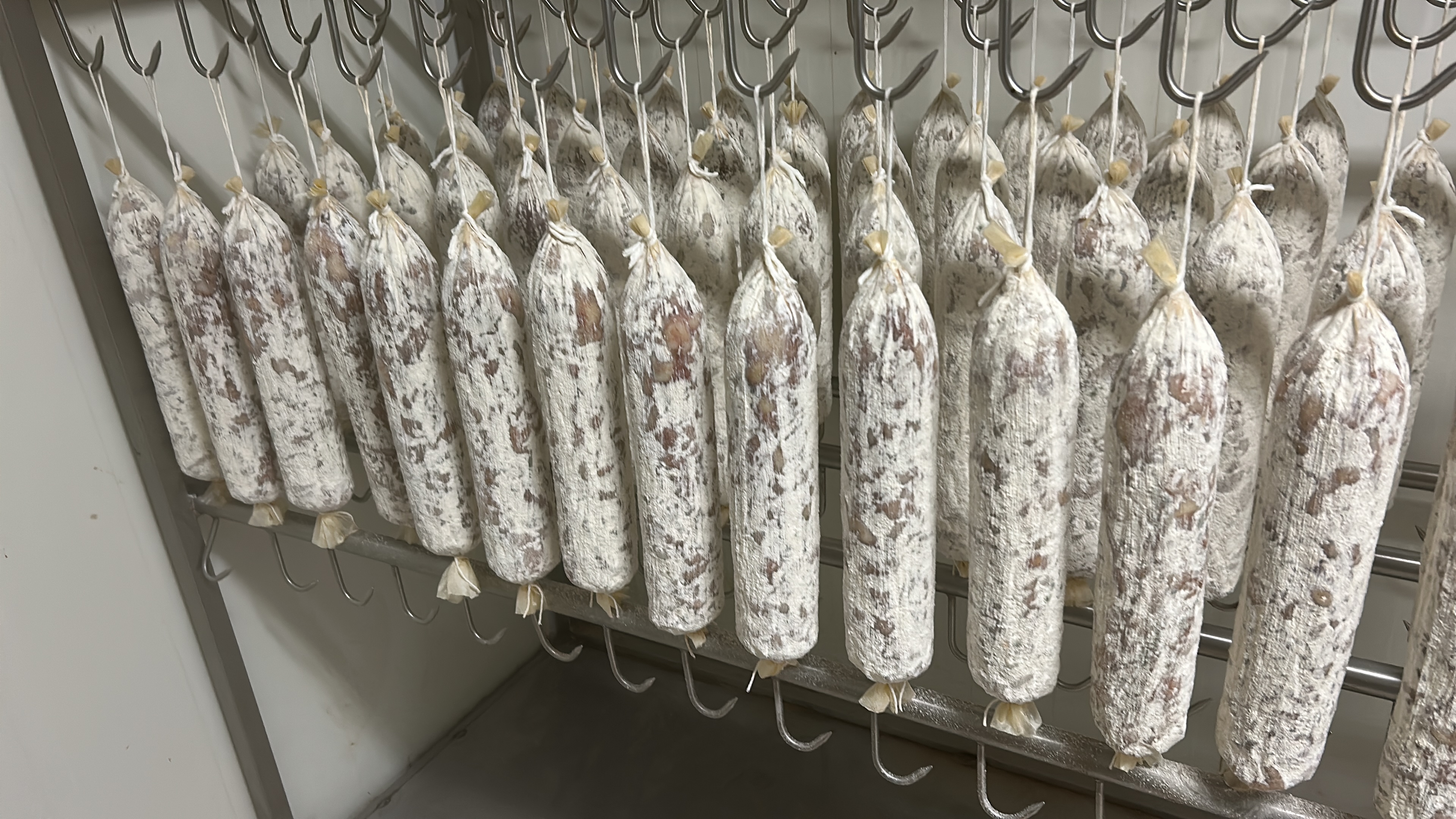 Prodotti agricoli e ingredienti di stagione