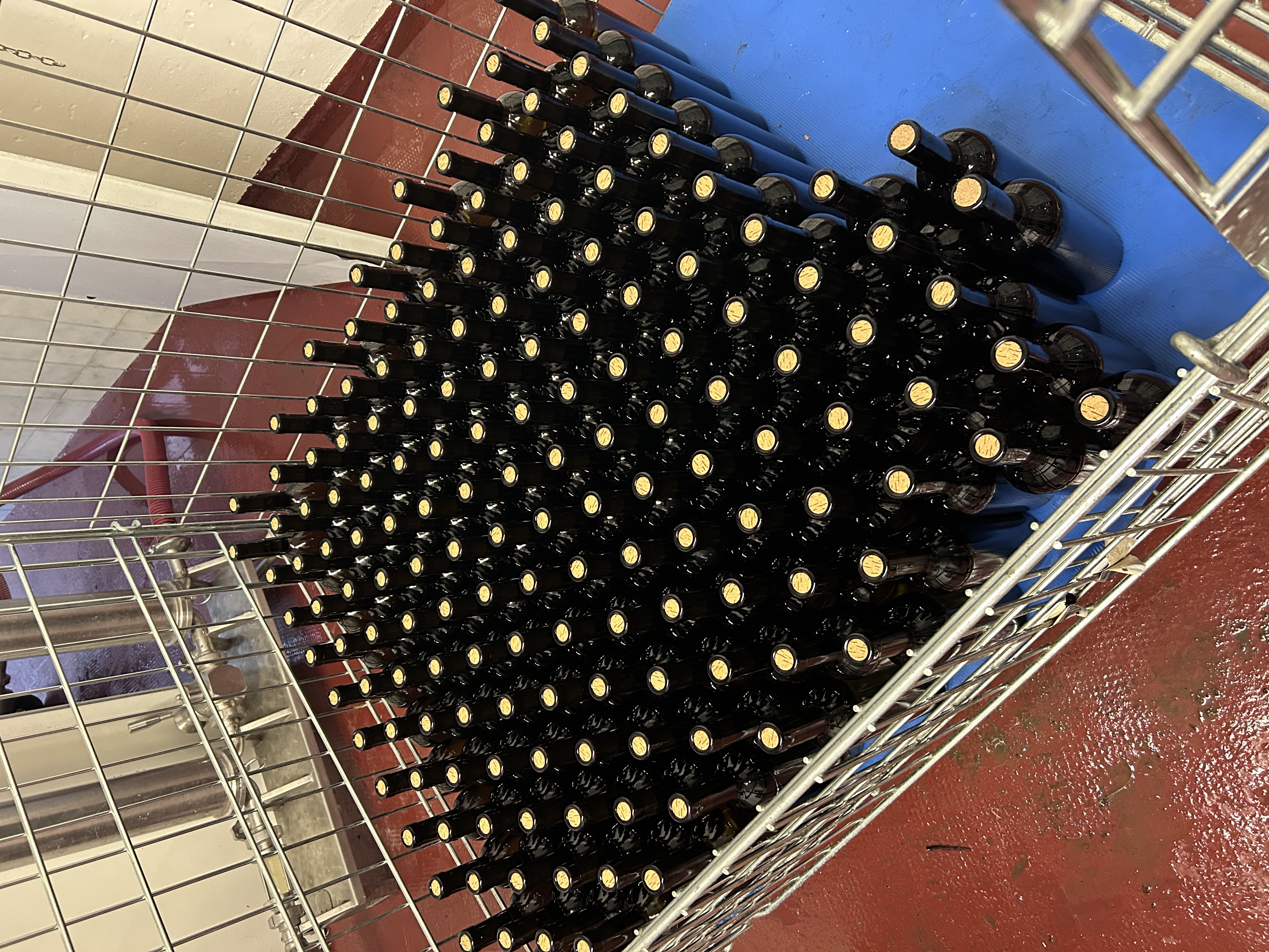Vino della casa dell'Agriturismo Porchis nel Collio